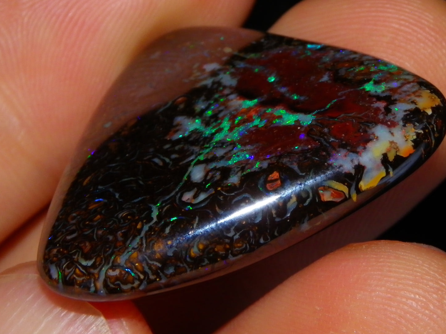 Good Quality Koroit Opal Cab/Freeform 78.9cts Double sided 2 Patterns Blue/Green Fires Queensland Australia