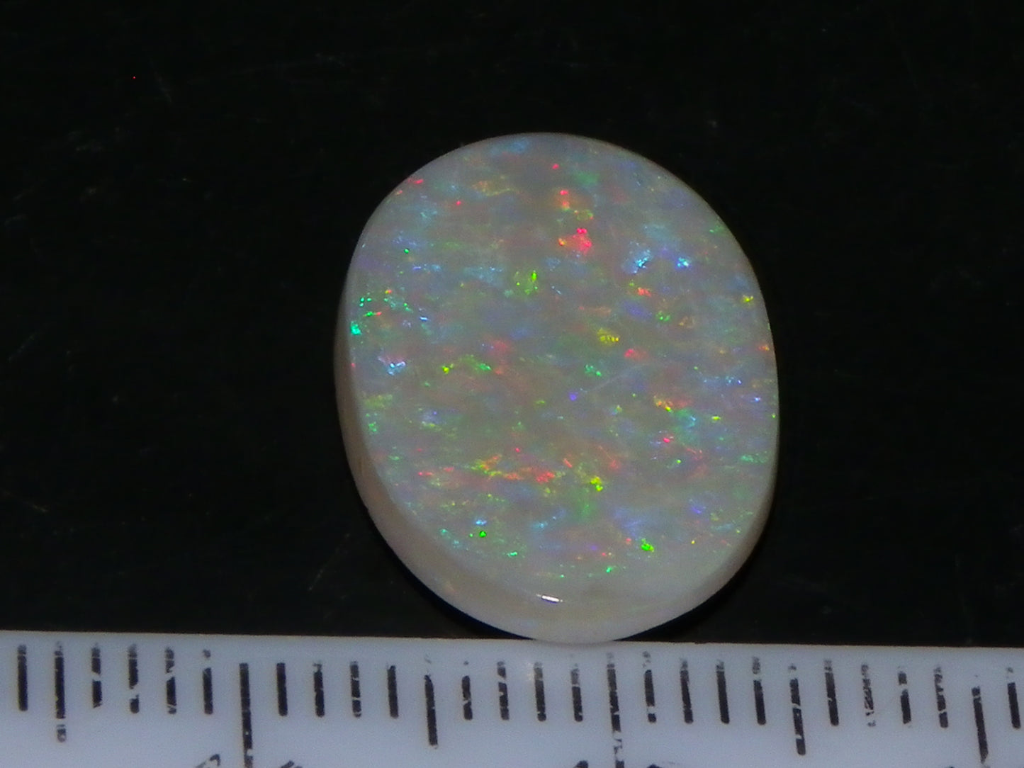 NIce Cut/Polished Mintabie Seam Opal Cab 4.8cts Multicolour Fires 18x12mm