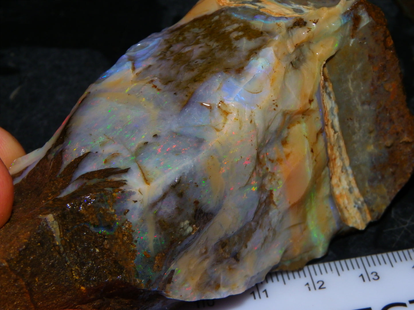 2 Large Split Queensland Boulder Opals 3086cts 5 Faces with Fires 2 matching Split