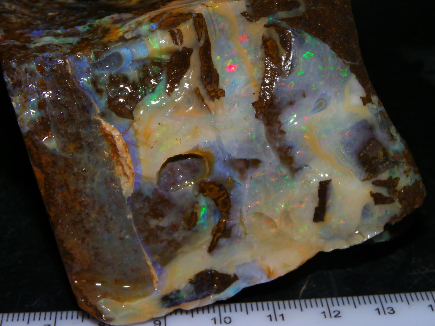 2 Large Split Queensland Boulder Opals 3086cts 5 Faces with Fires 2 matching Split