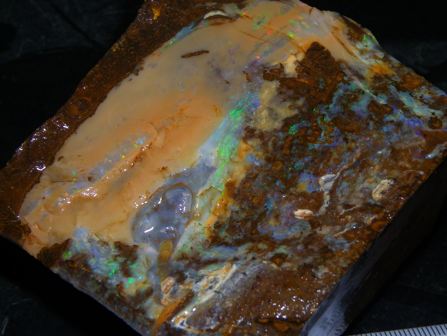 2 Large Split Queensland Boulder Opals 3086cts 5 Faces with Fires 2 matching Split