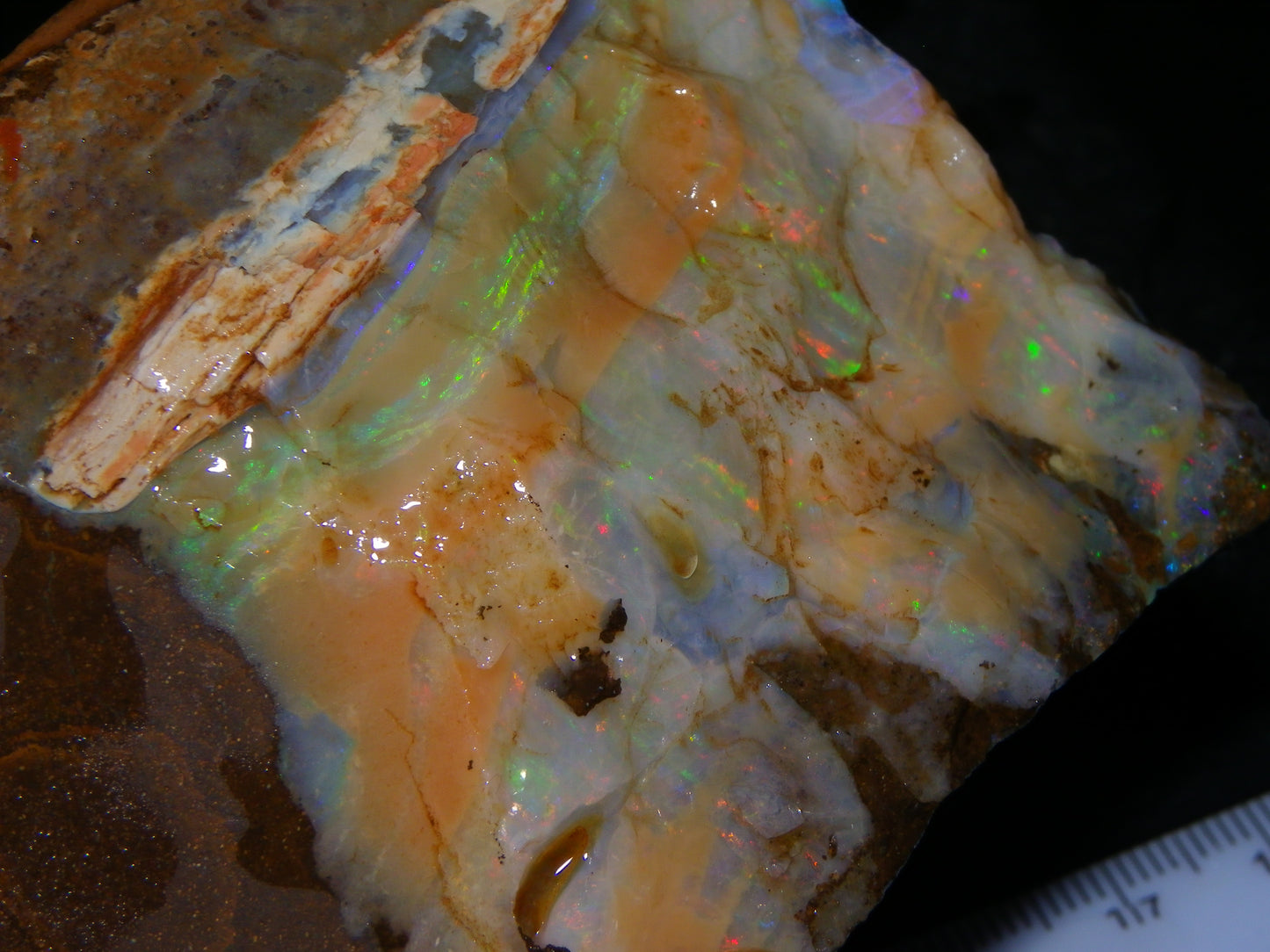 2 Large Split Queensland Boulder Opals 3086cts 5 Faces with Fires 2 matching Split