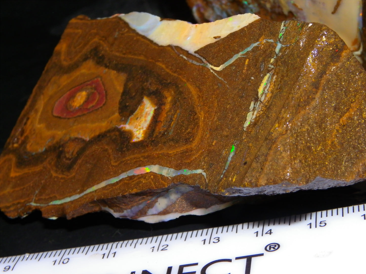 2 Large Split Queensland Boulder Opals 3086cts 5 Faces with Fires 2 matching Split