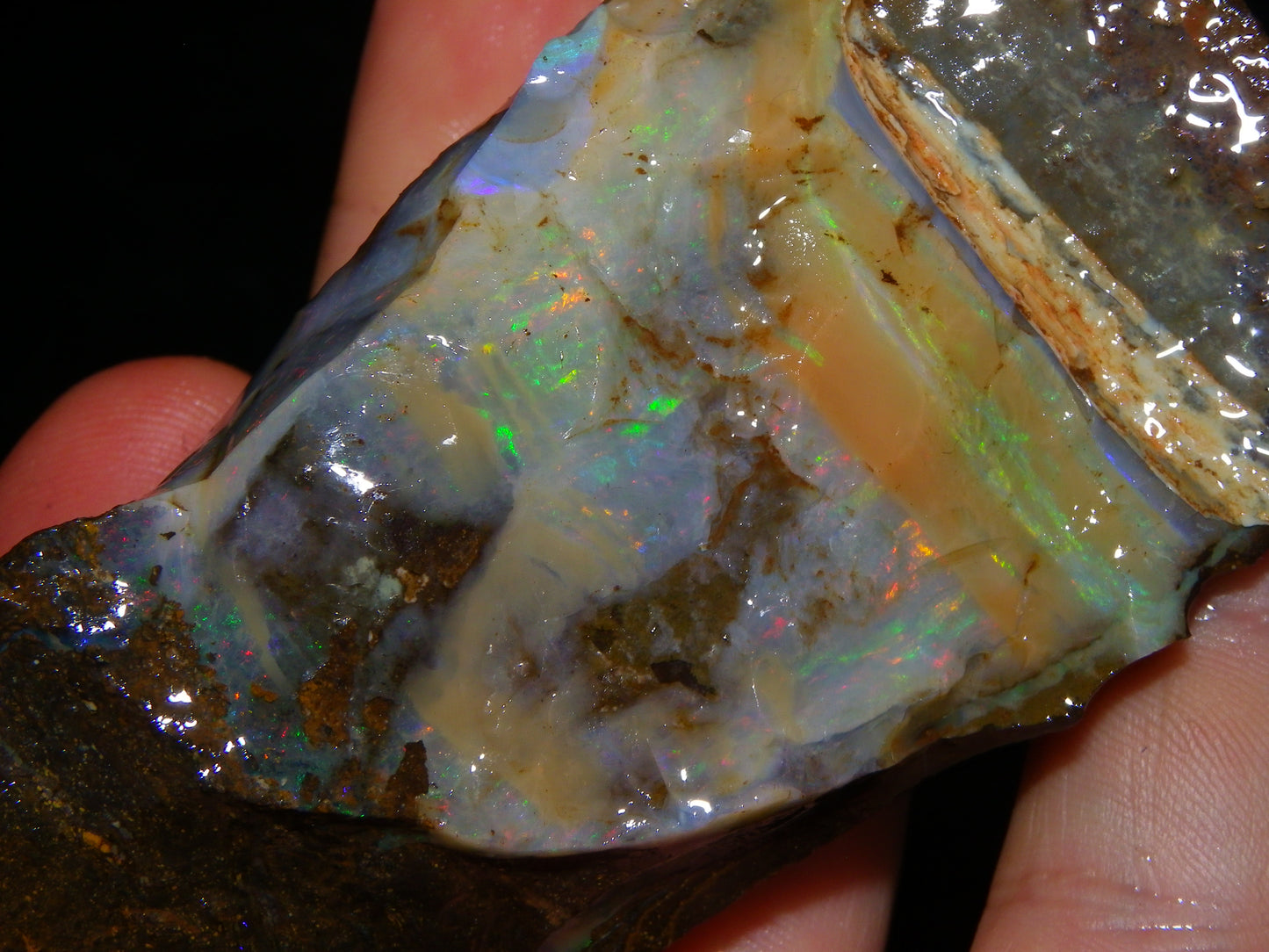 2 Large Split Queensland Boulder Opals 3086cts 5 Faces with Fires 2 matching Split