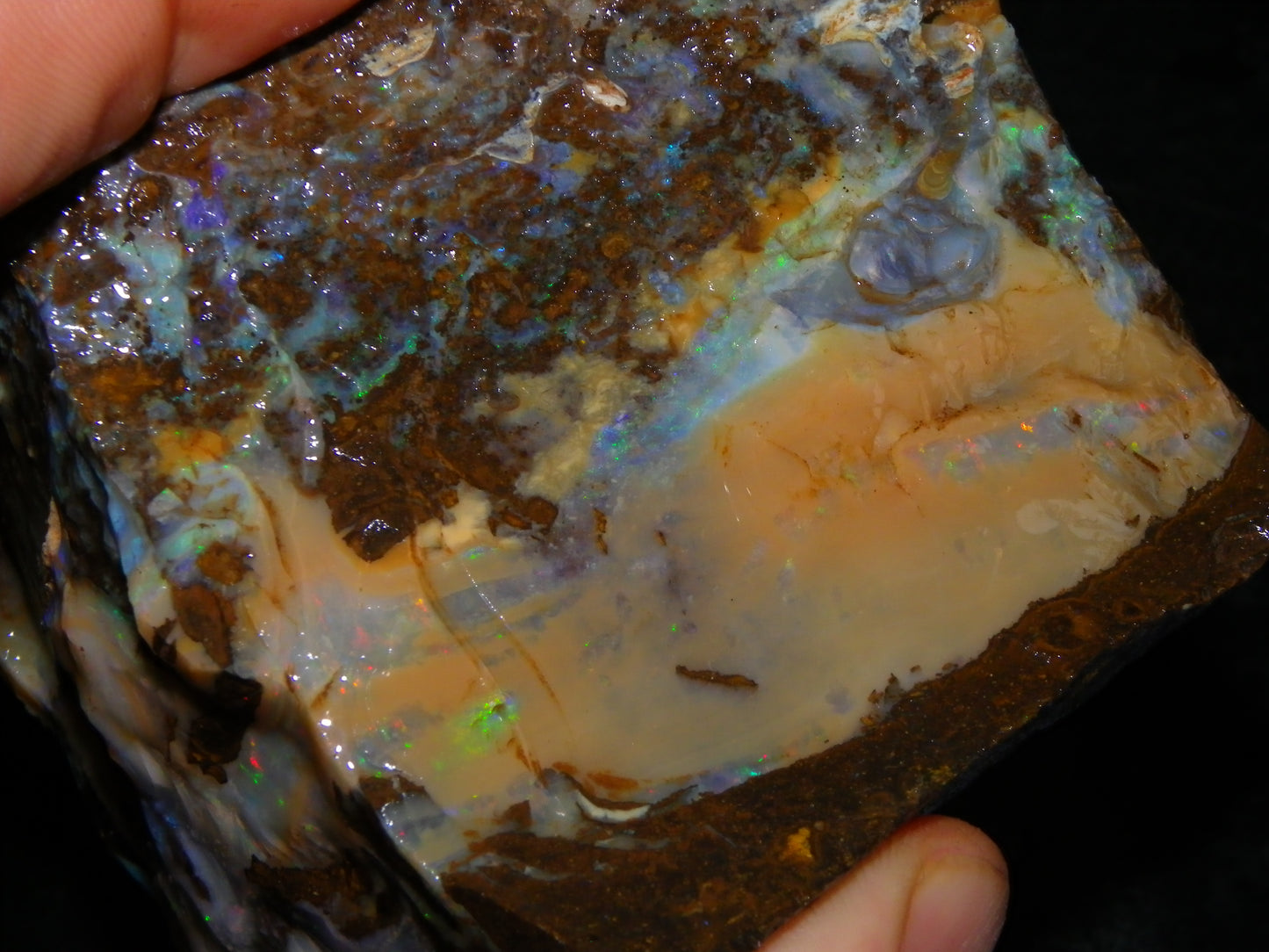 2 Large Split Queensland Boulder Opals 3086cts 5 Faces with Fires 2 matching Split