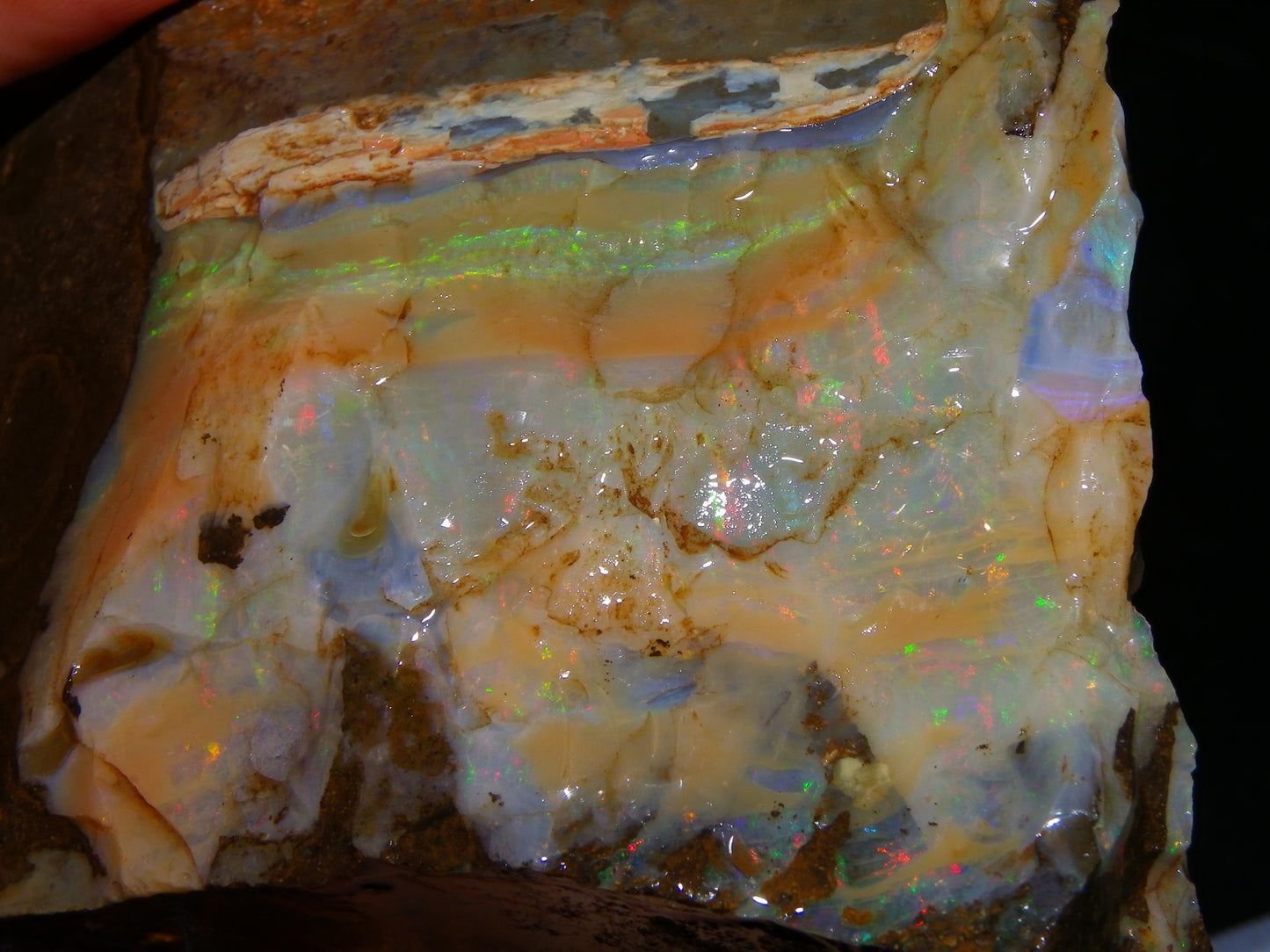 2 Large Split Queensland Boulder Opals 3086cts 5 Faces with Fires 2 matching Split