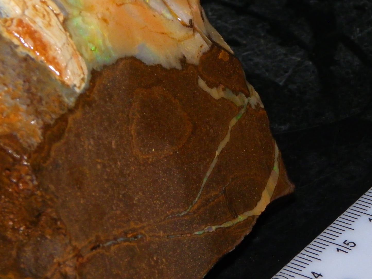 2 Large Split Queensland Boulder Opals 3086cts 5 Faces with Fires 2 matching Split