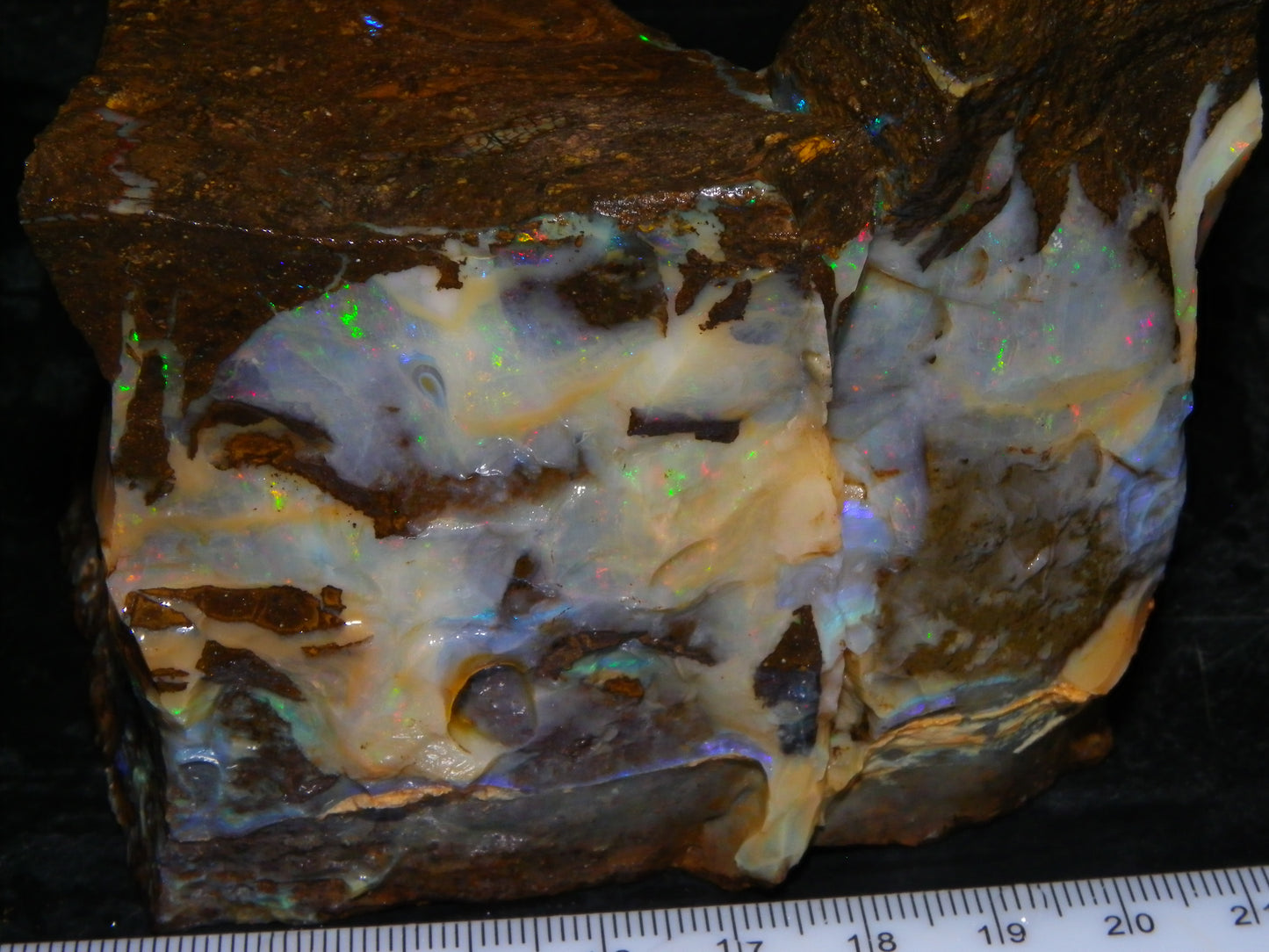 2 Large Split Queensland Boulder Opals 3086cts 5 Faces with Fires 2 matching Split