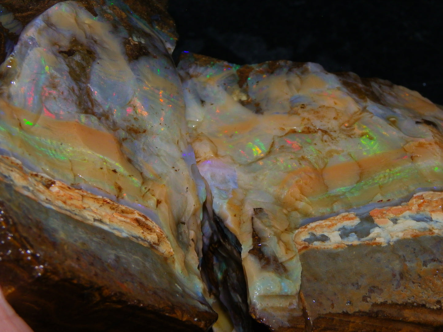 2 Large Split Queensland Boulder Opals 3086cts 5 Faces with Fires 2 matching Split