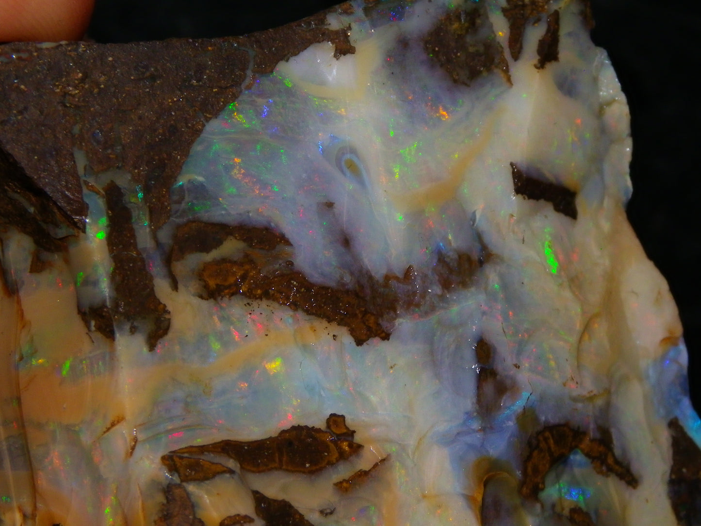 2 Large Split Queensland Boulder Opals 3086cts 5 Faces with Fires 2 matching Split