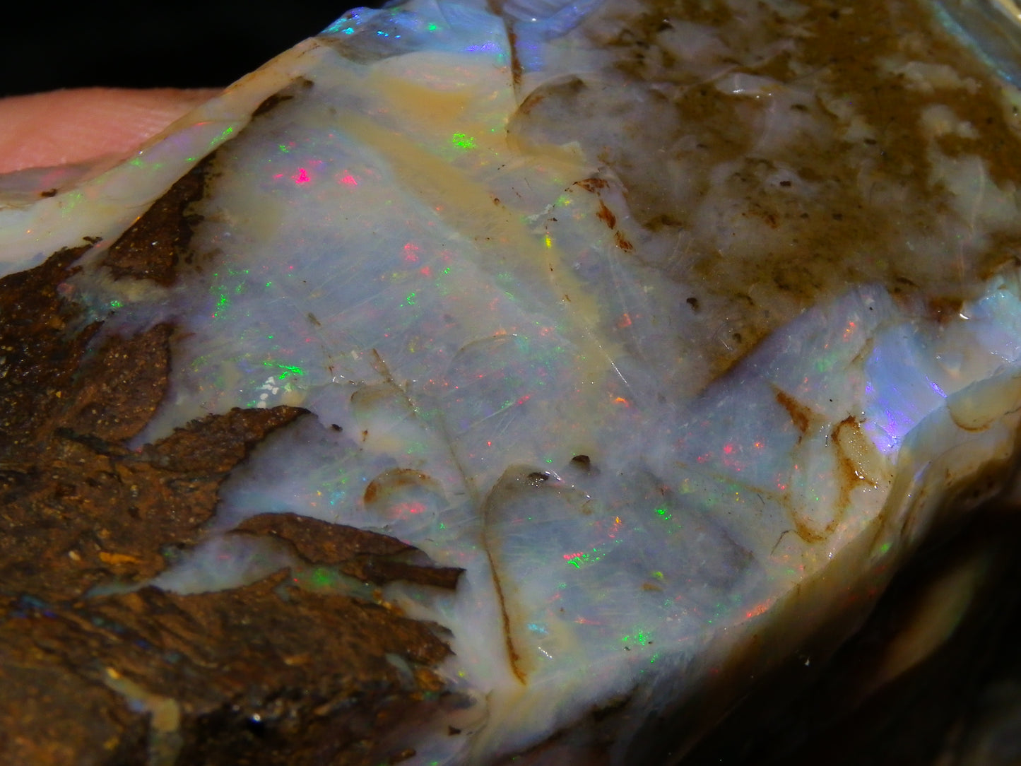 2 Large Split Queensland Boulder Opals 3086cts 5 Faces with Fires 2 matching Split