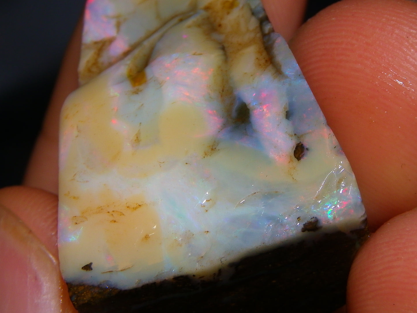 Nice Rough/Rubbed Boulder Opal Parcel 624cts Some Fires Caramel Potch/specimens