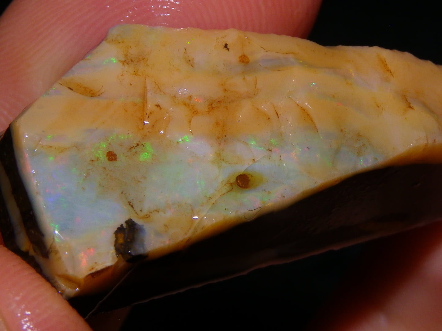 Nice Rough/Rubbed Boulder Opal Parcel 624cts Some Fires Caramel Potch/specimens