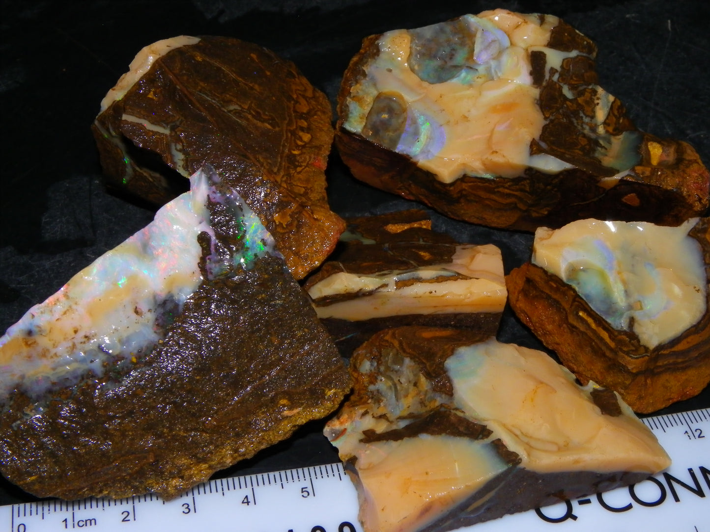 Nice Rough Boulder Opal specimens 2358cts Multicolours Ironstone Queensland Australia