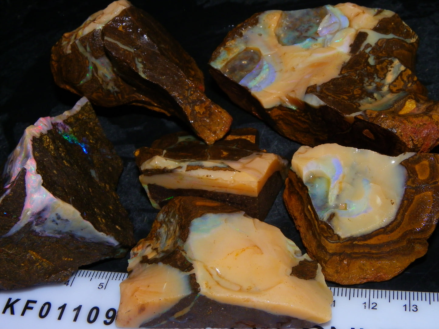 Nice Rough Boulder Opal specimens 2358cts Multicolours Ironstone Queensland Australia