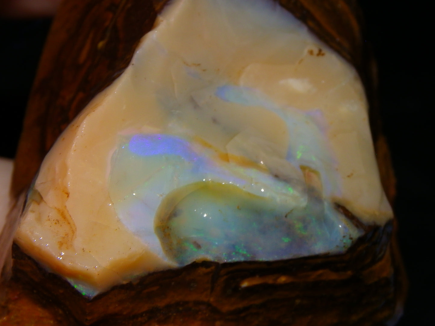 Nice Rough Boulder Opal specimens 2358cts Multicolours Ironstone Queensland Australia