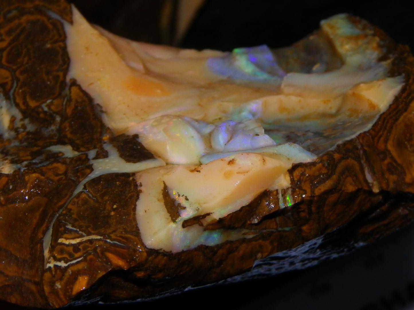 Nice Rough Boulder Opal specimens 2358cts Multicolours Ironstone Queensland Australia