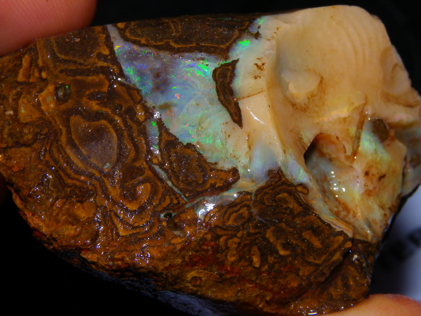Nice Rough Boulder Opal specimens 2358cts Multicolours Ironstone Queensland Australia