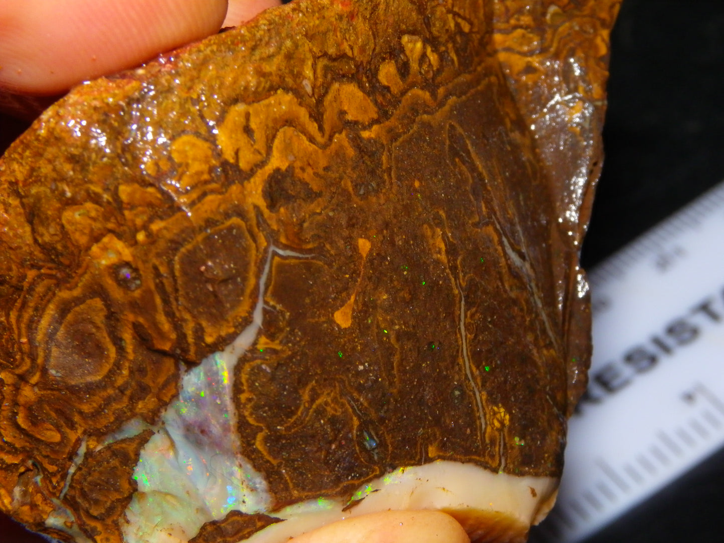 Nice Rough Boulder Opal specimens 2358cts Multicolours Ironstone Queensland Australia