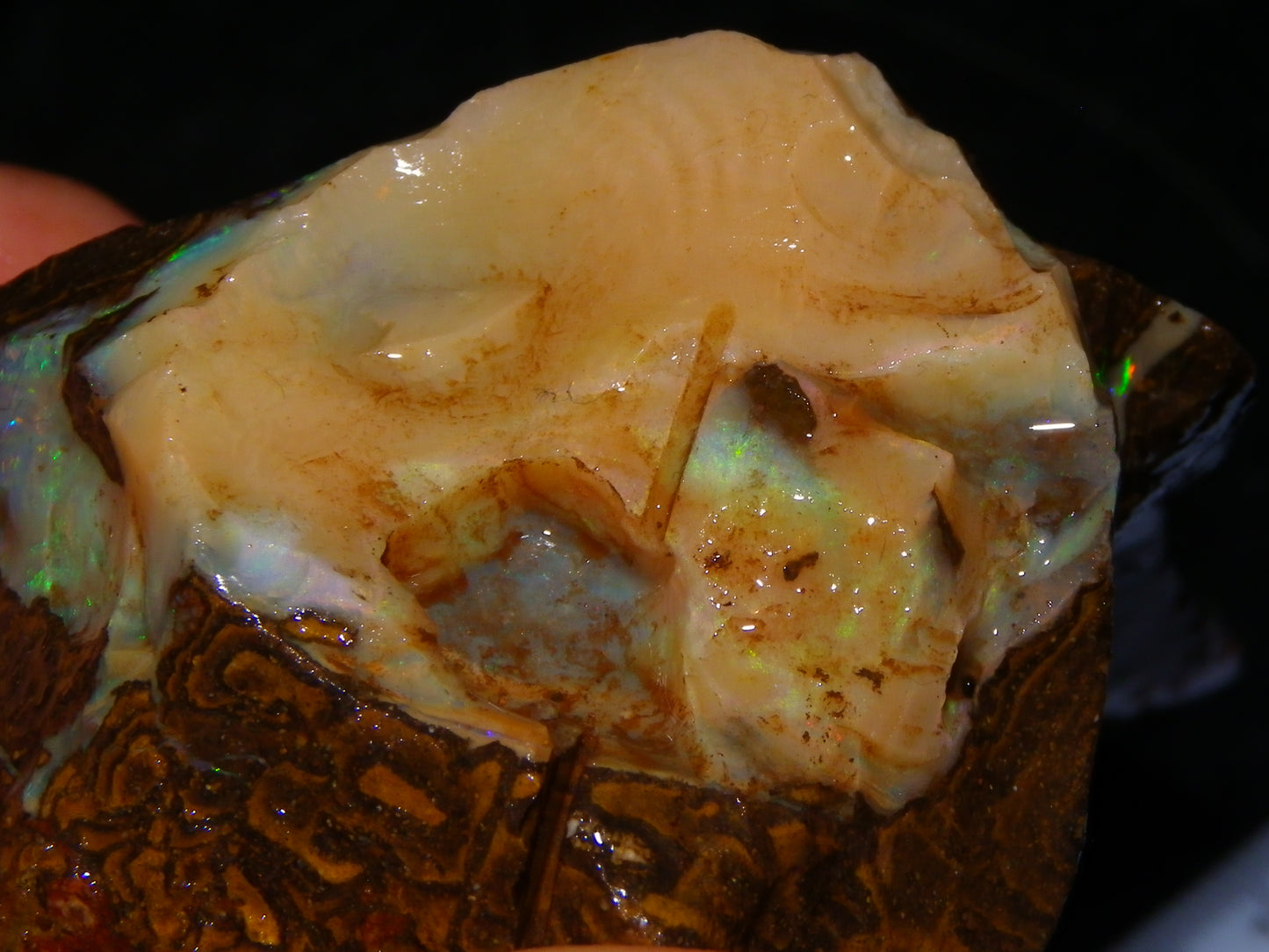 Nice Rough Boulder Opal specimens 2358cts Multicolours Ironstone Queensland Australia
