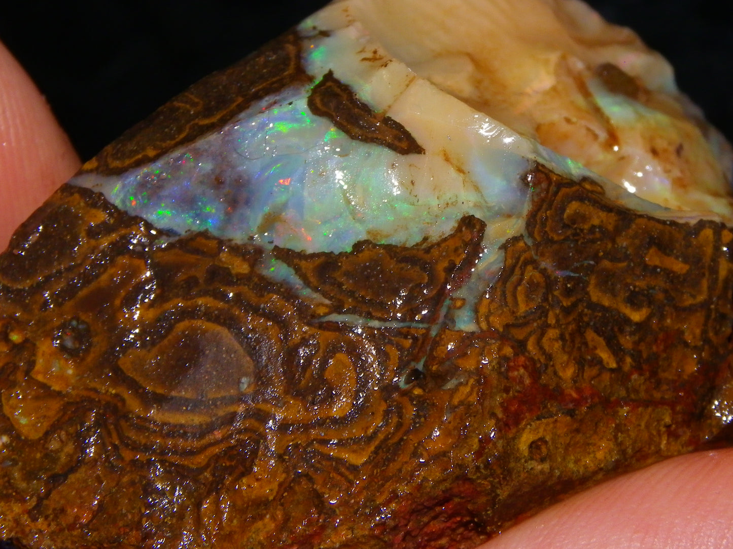 Nice Rough Boulder Opal specimens 2358cts Multicolours Ironstone Queensland Australia