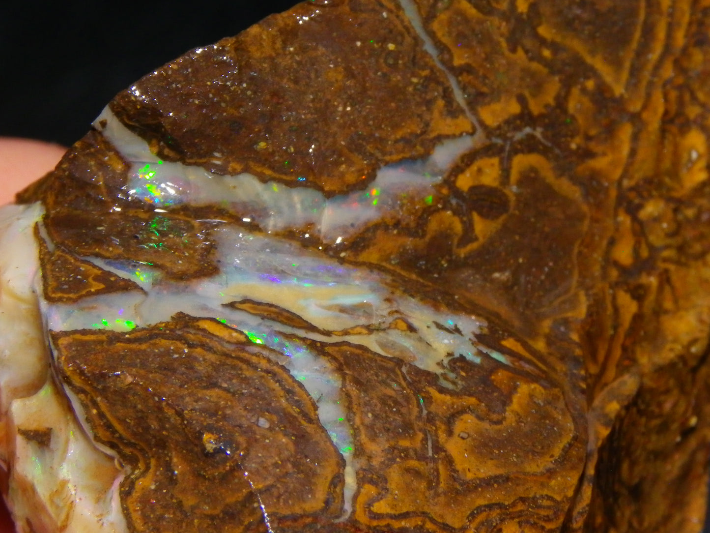 Nice Rough Boulder Opal specimens 2358cts Multicolours Ironstone Queensland Australia