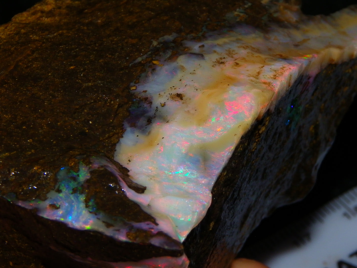 Nice Rough Boulder Opal specimens 2358cts Multicolours Ironstone Queensland Australia