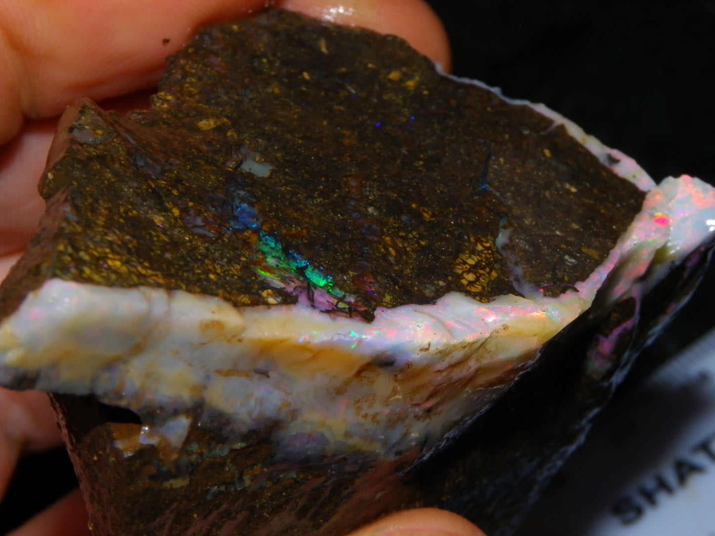 Nice Rough Boulder Opal specimens 2358cts Multicolours Ironstone Queensland Australia