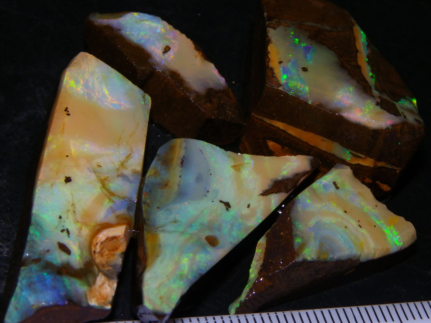5 Nice Rubbed Boulder Opals 196cts Queensland Australia Patterns/Fires