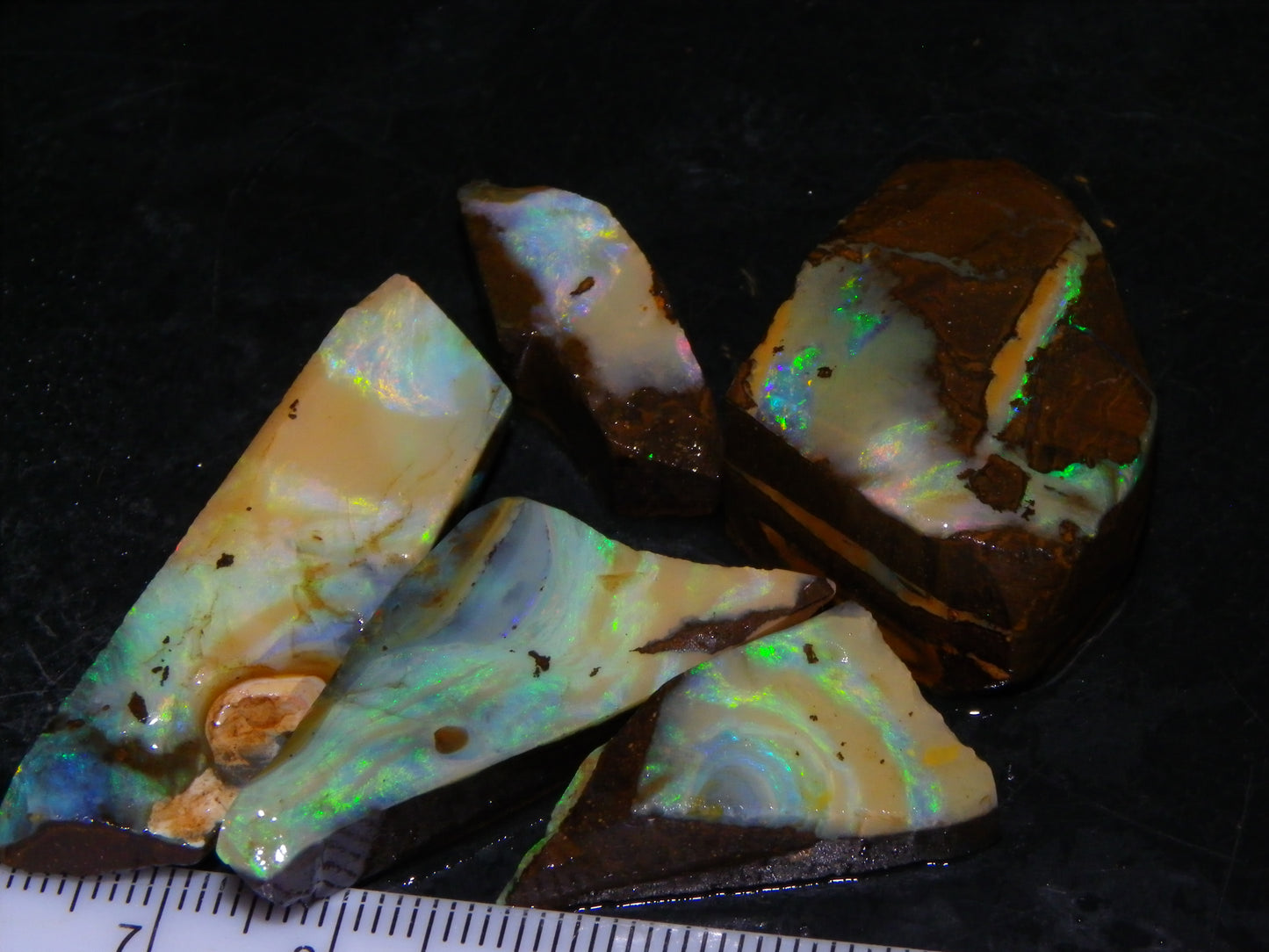 5 Nice Rubbed Boulder Opals 196cts Queensland Australia Patterns/Fires