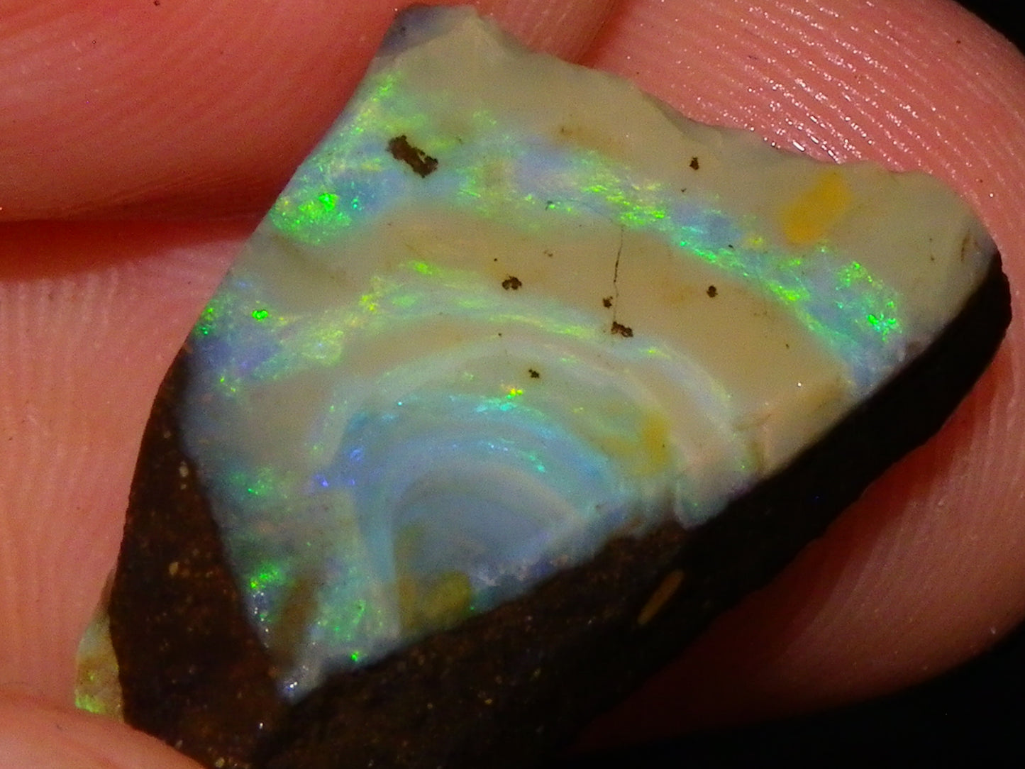 5 Nice Rubbed Boulder Opals 196cts Queensland Australia Patterns/Fires