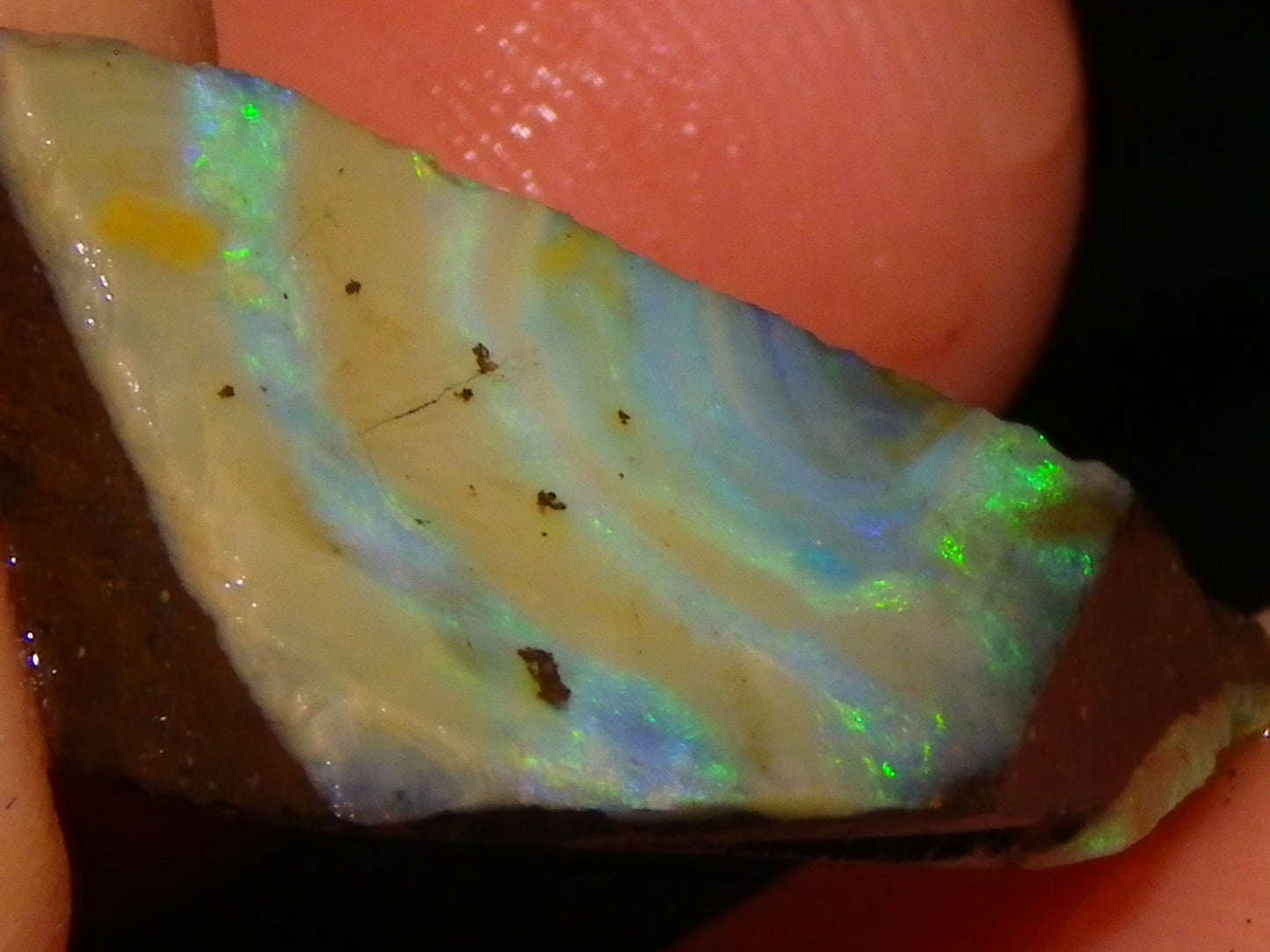 5 Nice Rubbed Boulder Opals 196cts Queensland Australia Patterns/Fires