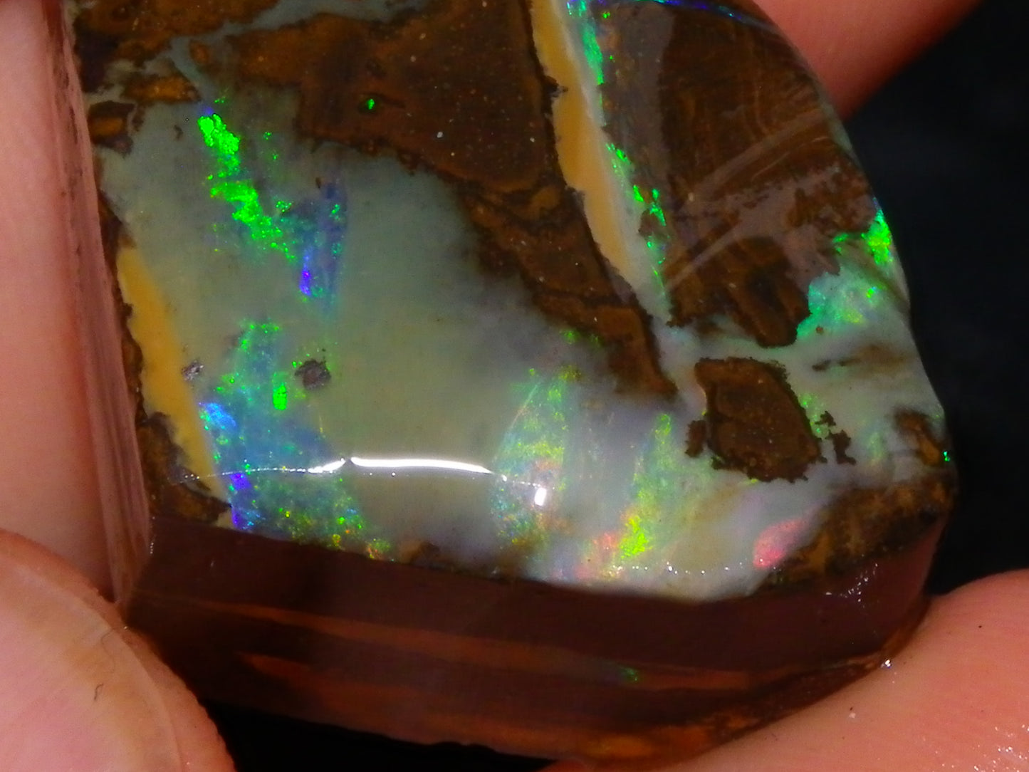 5 Nice Rubbed Boulder Opals 196cts Queensland Australia Patterns/Fires