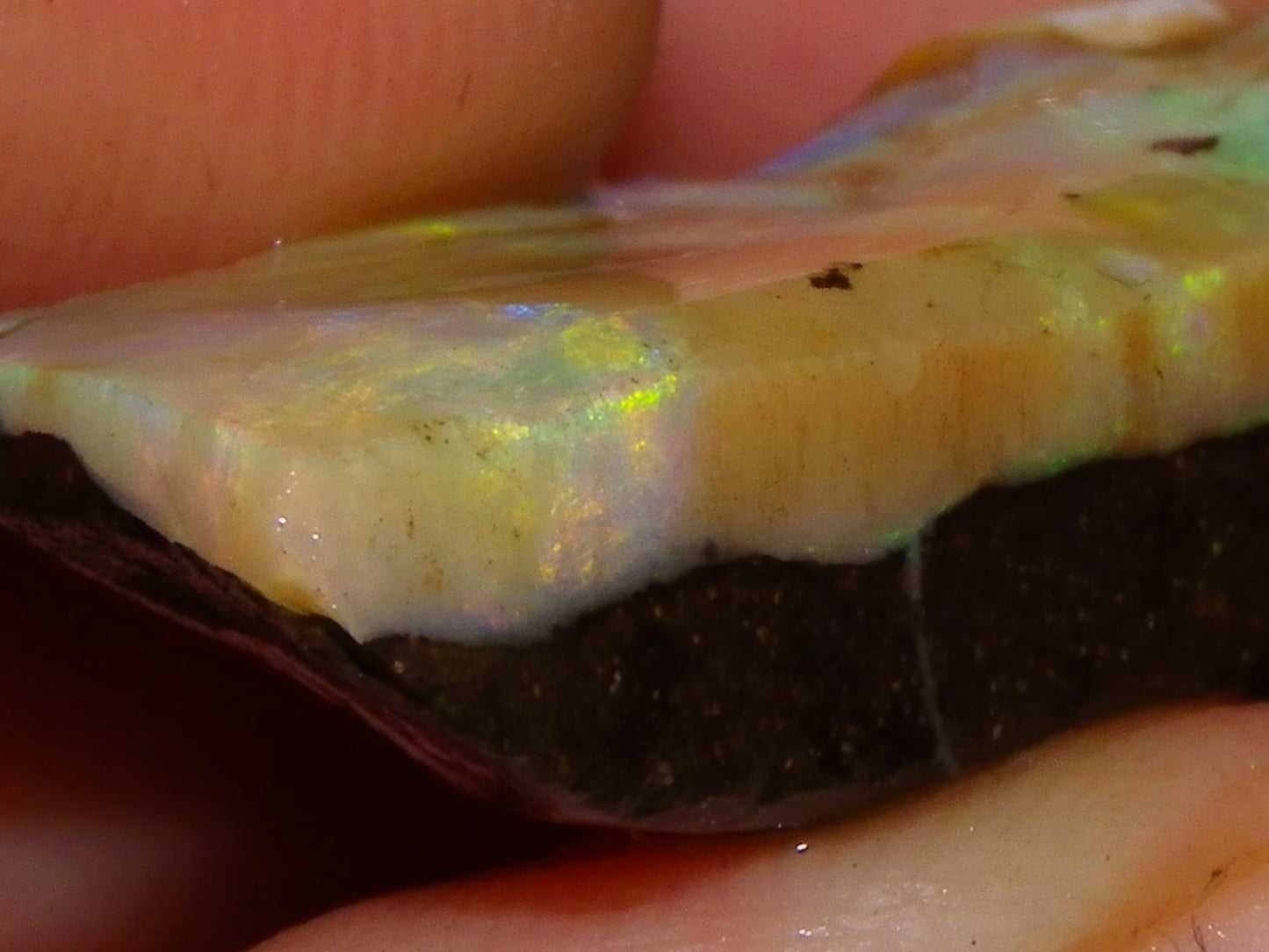 5 Nice Rubbed Boulder Opals 196cts Queensland Australia Patterns/Fires