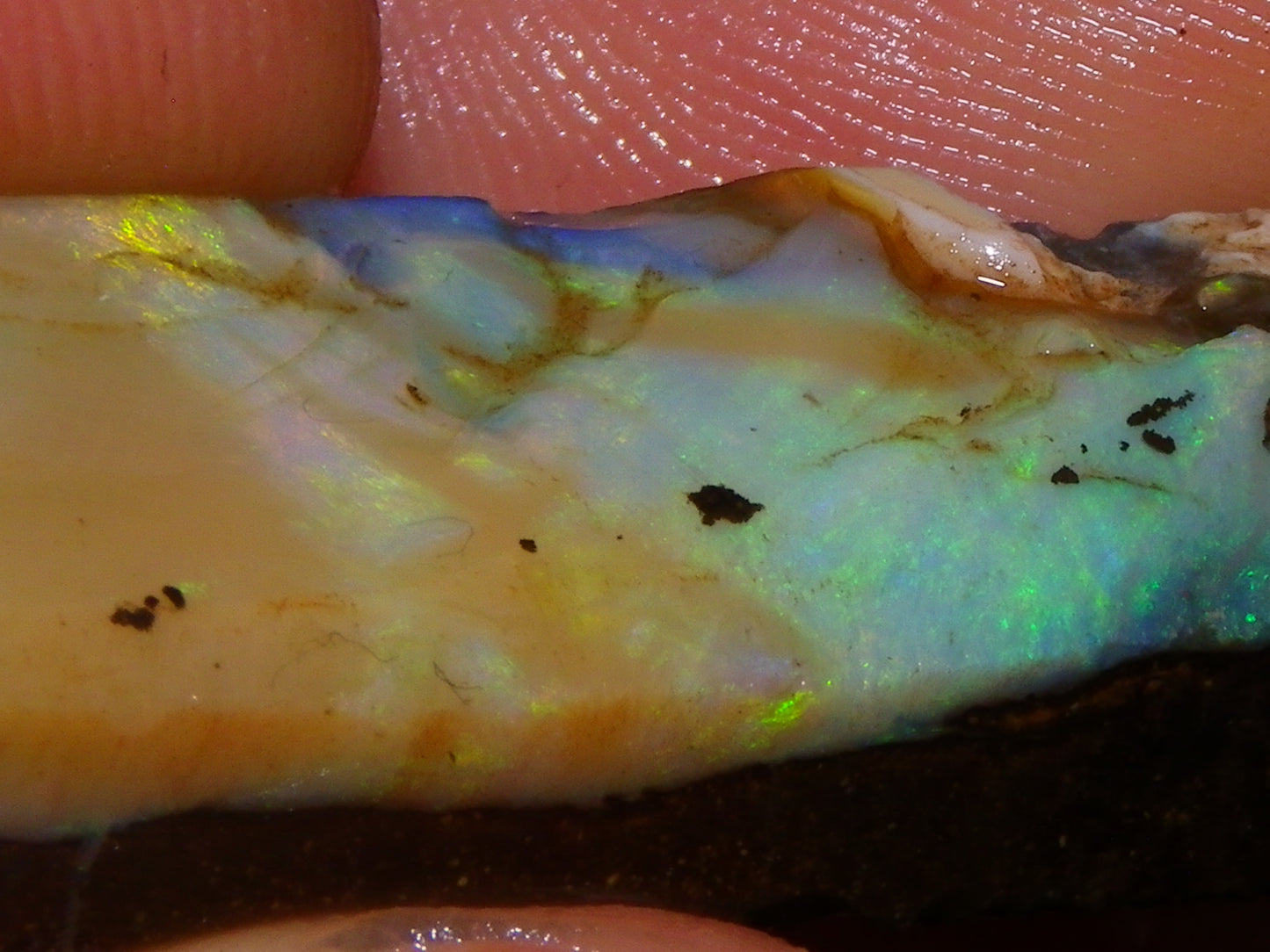 5 Nice Rubbed Boulder Opals 196cts Queensland Australia Patterns/Fires