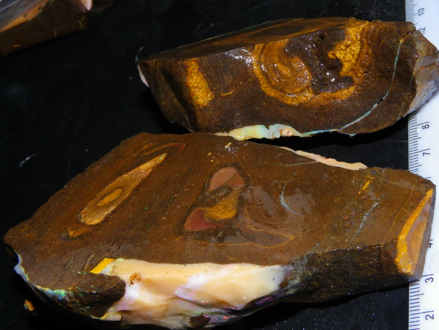 2 Nice Rough Boulder Opal Specimens 2704cts Queensland Australia Some Fires/Patterns
