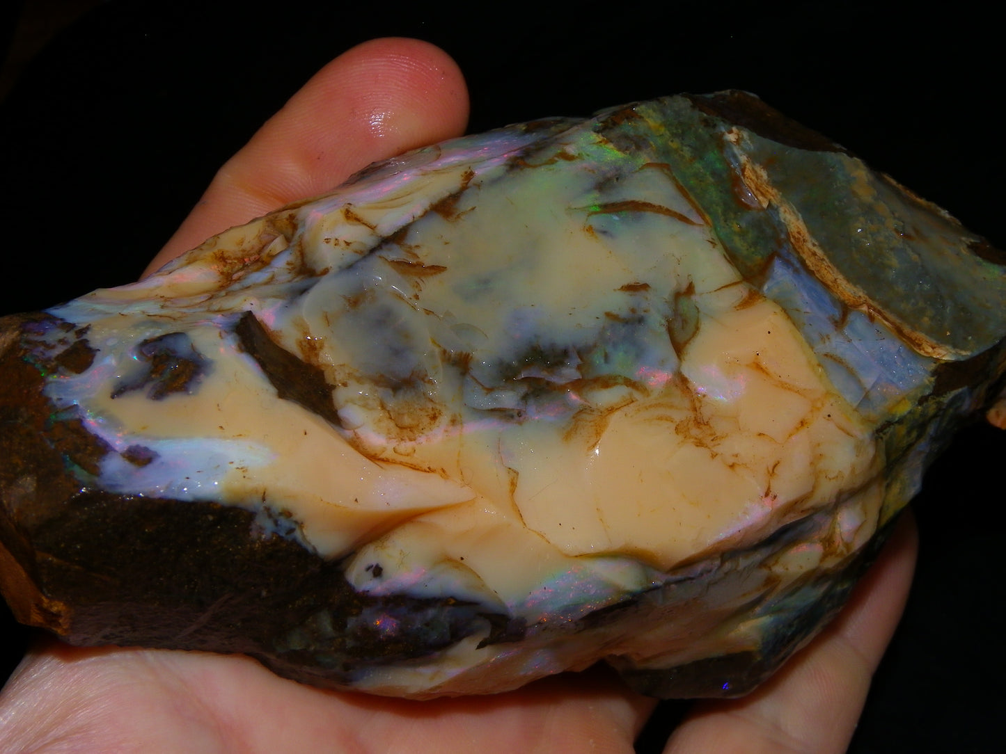 2 Nice Rough Boulder Opal Specimens 2704cts Queensland Australia Some Fires/Patterns