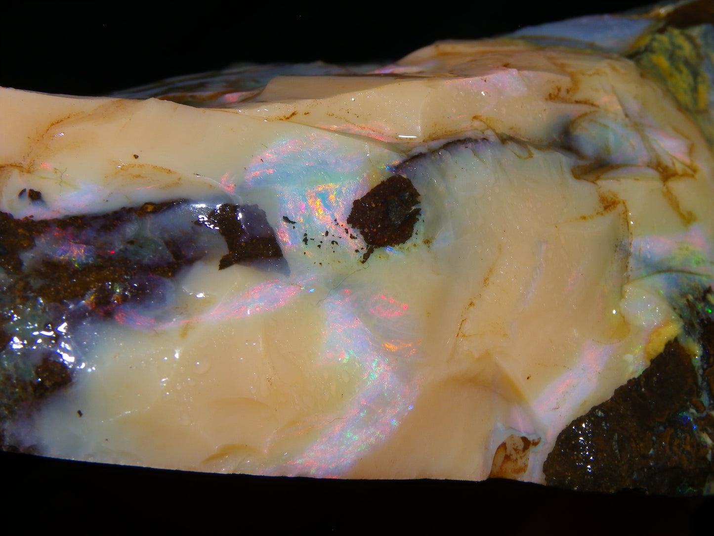 2 Nice Rough Boulder Opal Specimens 2704cts Queensland Australia Some Fires/Patterns
