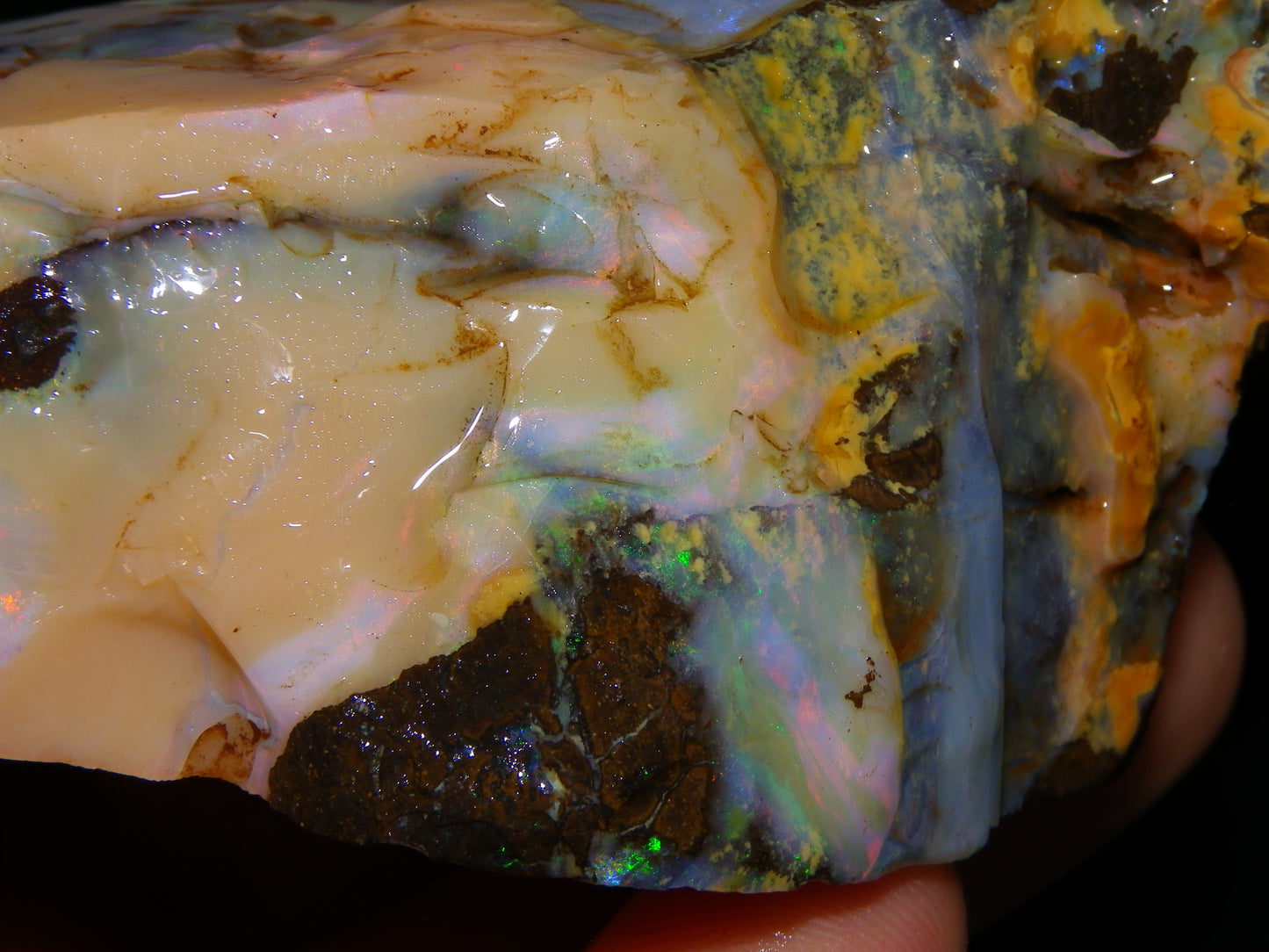 2 Nice Rough Boulder Opal Specimens 2704cts Queensland Australia Some Fires/Patterns