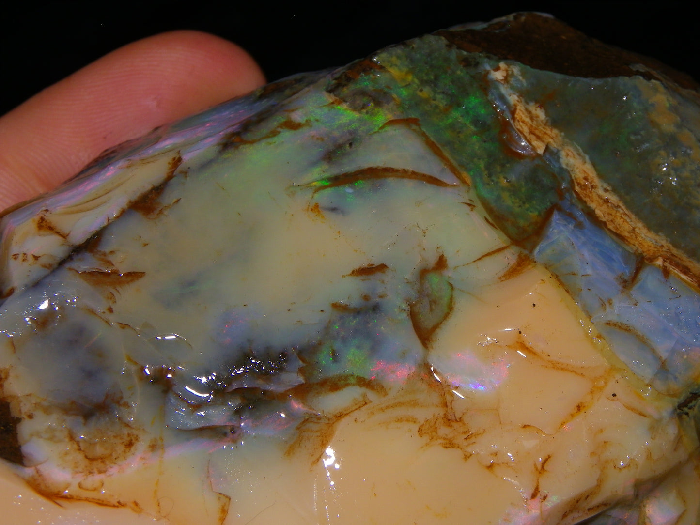 2 Nice Rough Boulder Opal Specimens 2704cts Queensland Australia Some Fires/Patterns