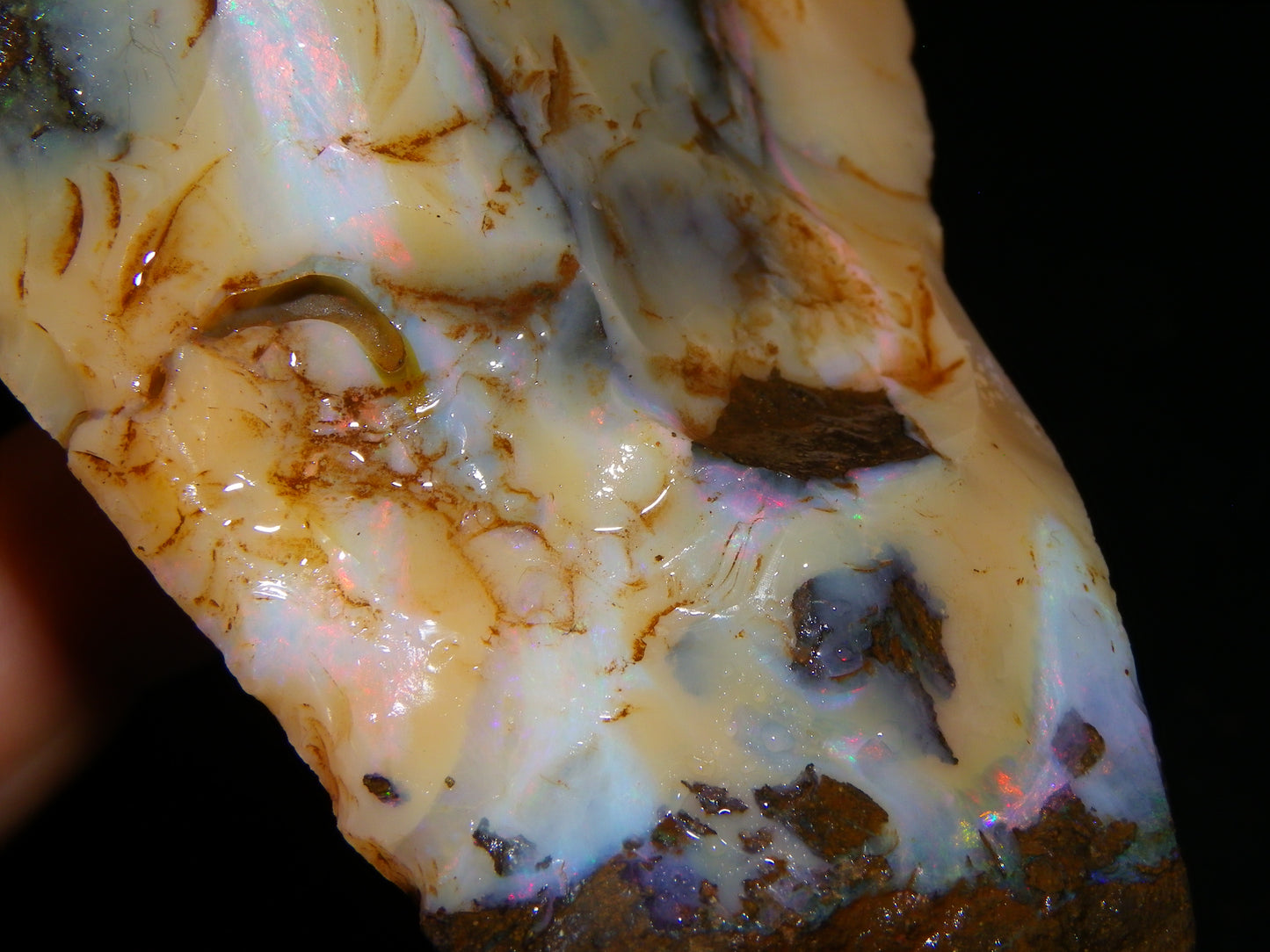 2 Nice Rough Boulder Opal Specimens 2704cts Queensland Australia Some Fires/Patterns
