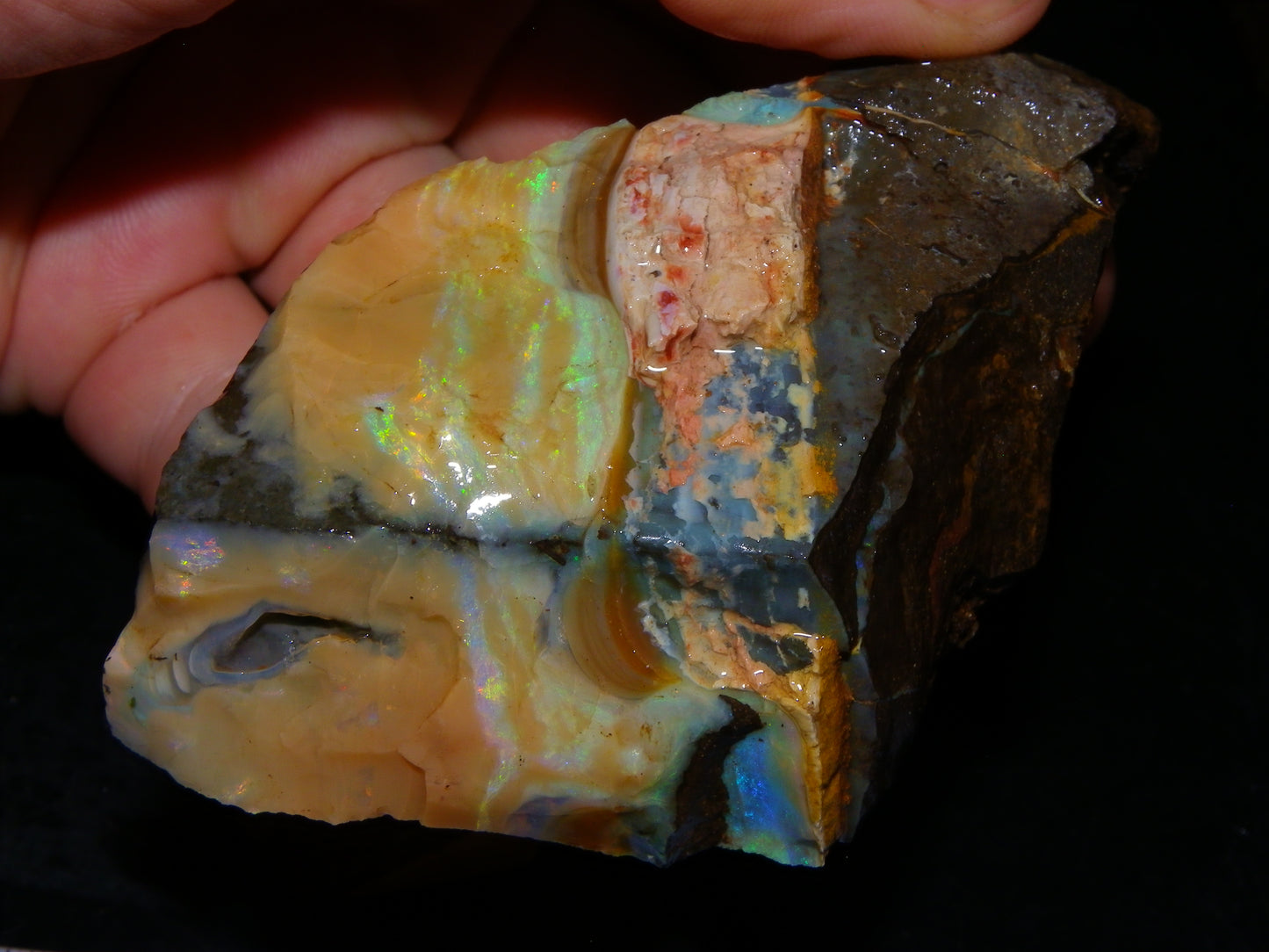 2 Nice Rough Boulder Opal Specimens 2704cts Queensland Australia Some Fires/Patterns