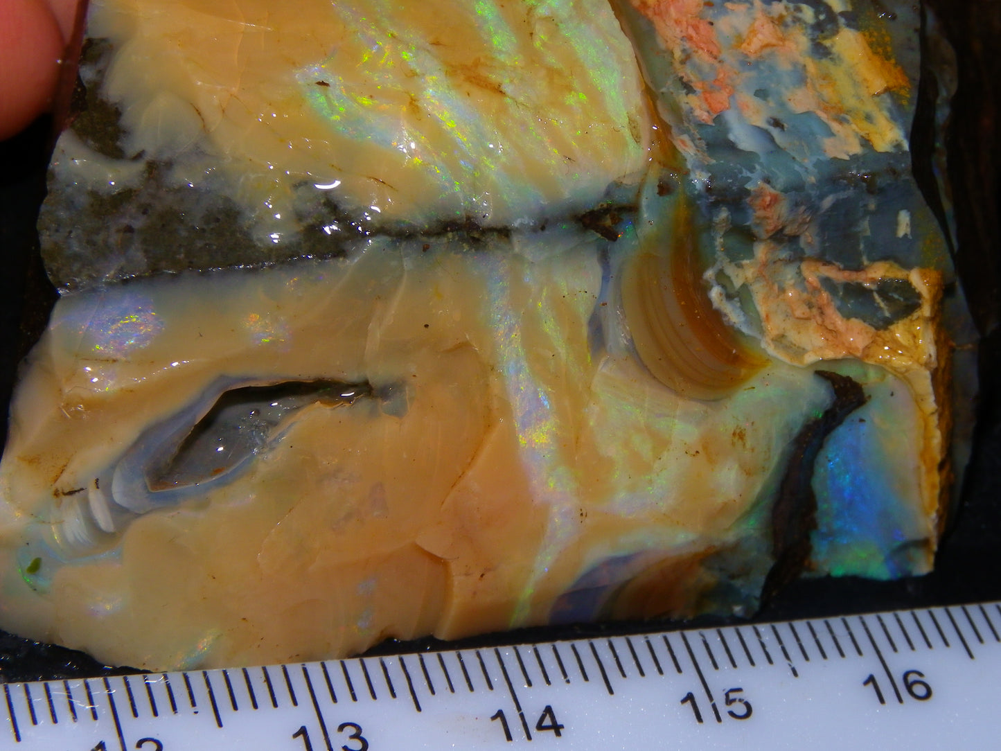 2 Nice Rough Boulder Opal Specimens 2704cts Queensland Australia Some Fires/Patterns