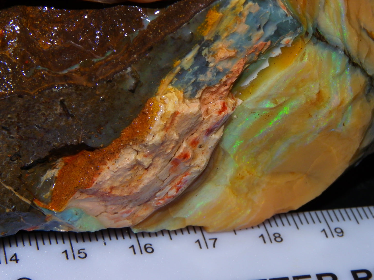 2 Nice Rough Boulder Opal Specimens 2704cts Queensland Australia Some Fires/Patterns