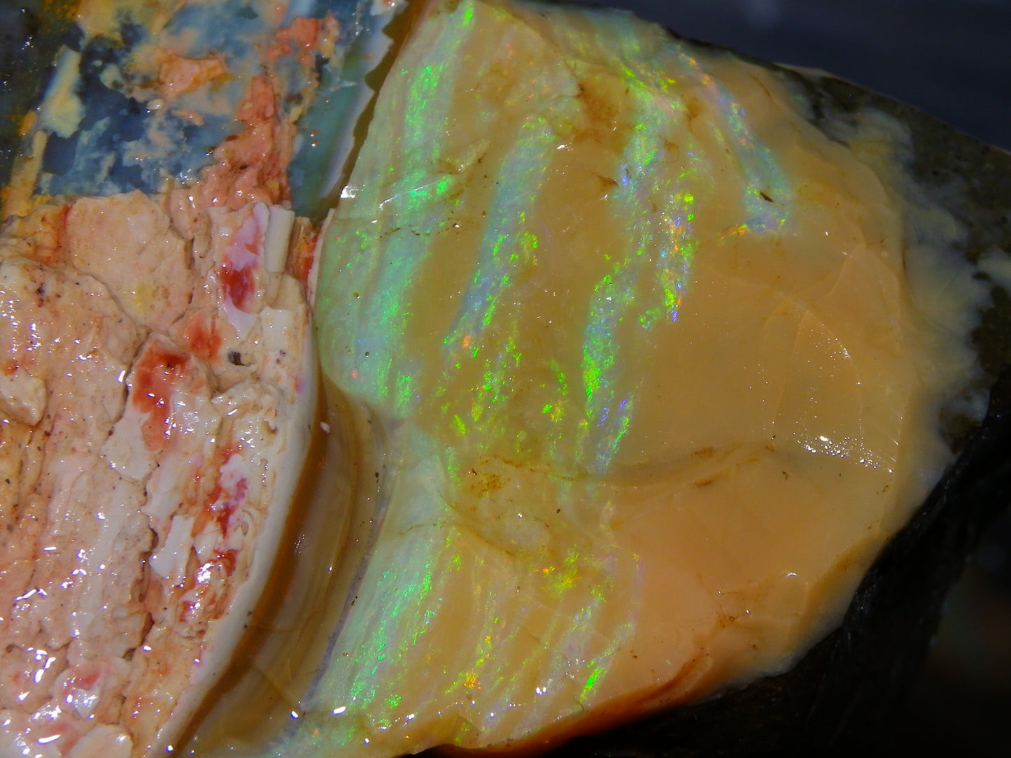 2 Nice Rough Boulder Opal Specimens 2704cts Queensland Australia Some Fires/Patterns