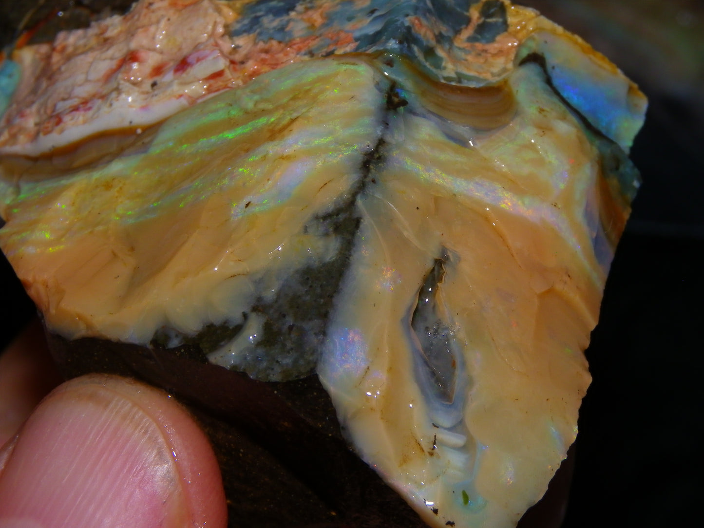 2 Nice Rough Boulder Opal Specimens 2704cts Queensland Australia Some Fires/Patterns