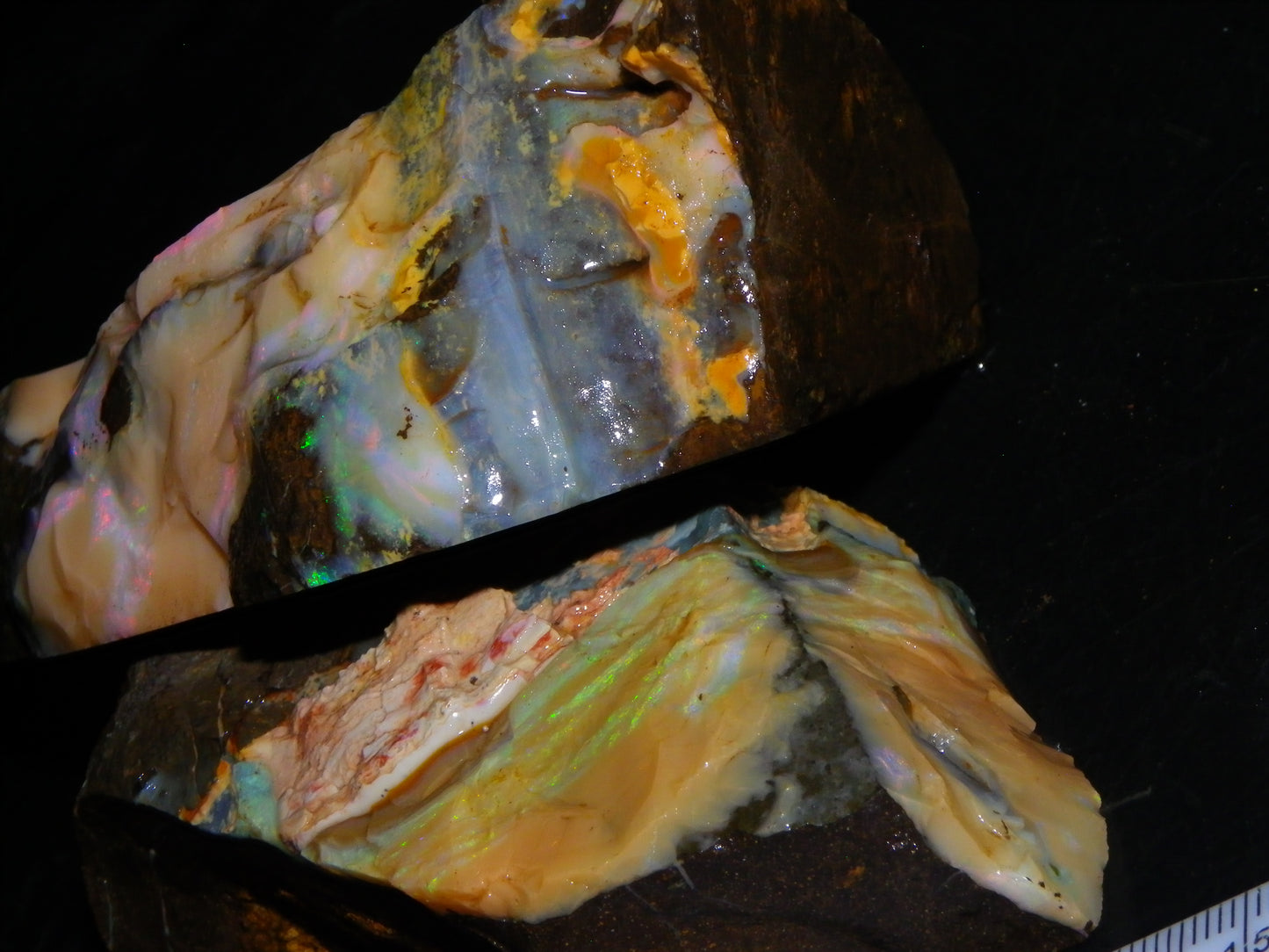 2 Nice Rough Boulder Opal Specimens 2704cts Queensland Australia Some Fires/Patterns