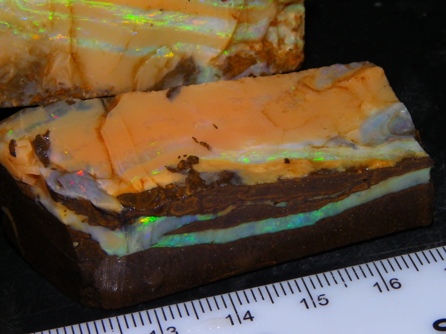 Nice Rough Sliced/Split Boulder Opals 578cts Green/Gold Stripes/Fires Some Reds