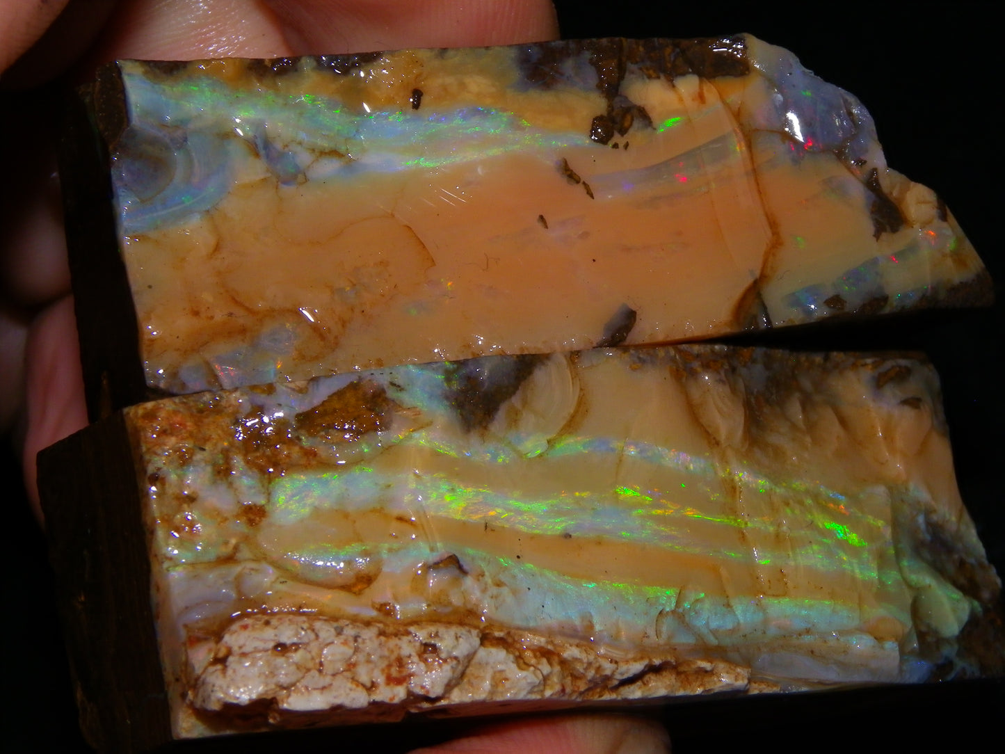 Nice Rough Sliced/Split Boulder Opals 578cts Green/Gold Stripes/Fires Some Reds