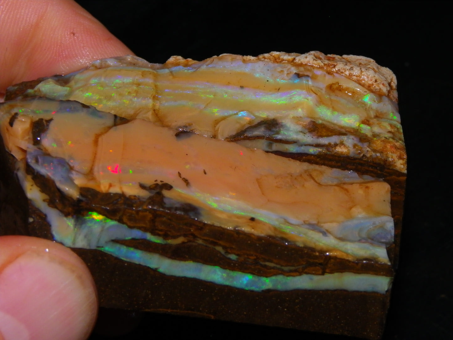 Nice Rough Sliced/Split Boulder Opals 578cts Green/Gold Stripes/Fires Some Reds